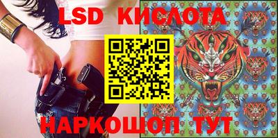 гашик Кунгур