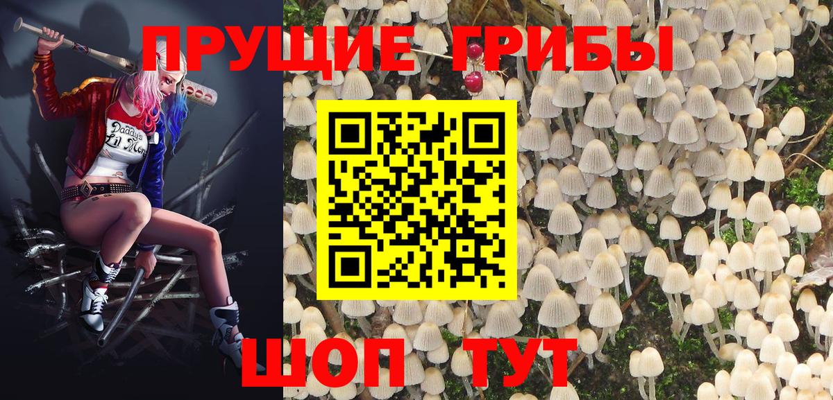 купить  сайты  Галлюциногенные грибы мухоморы  Вход с VPN  Жигулёвск 